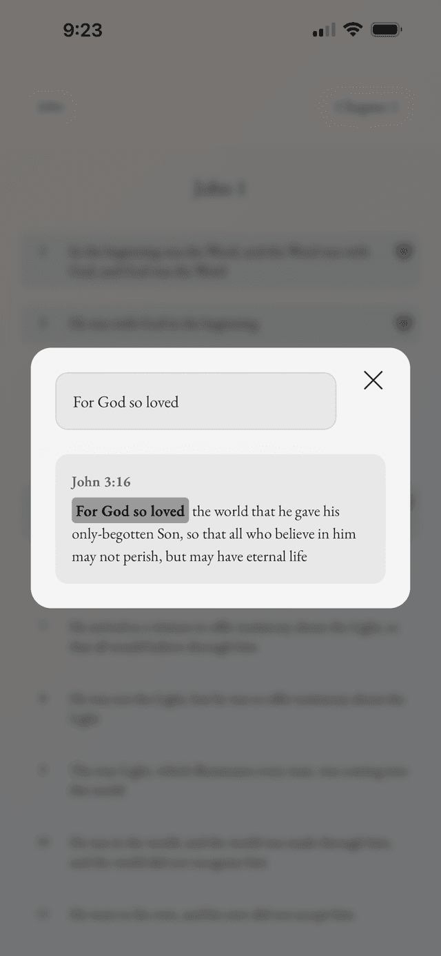Stiloria App Experience
